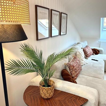 2-Zimmer Apartment - Zentral Ueber Den Daechern Von Aschaffenburg - 5 Min Vom Hbf - Gegenueber City Galerie エクステリア 写真