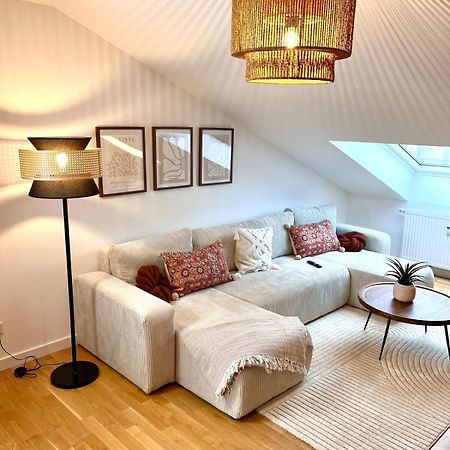 2-Zimmer Apartment - Zentral Ueber Den Daechern Von Aschaffenburg - 5 Min Vom Hbf - Gegenueber City Galerie エクステリア 写真