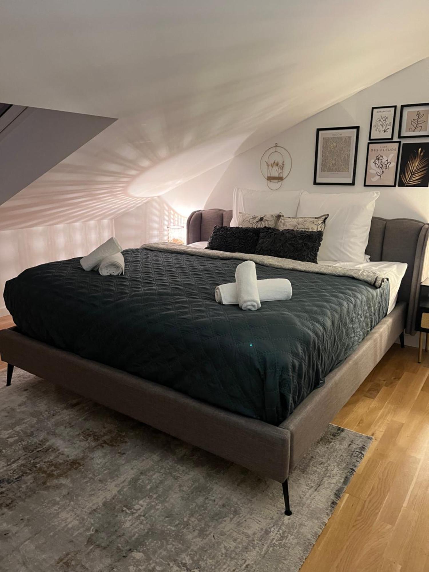 2-Zimmer Apartment - Zentral Ueber Den Daechern Von Aschaffenburg - 5 Min Vom Hbf - Gegenueber City Galerie エクステリア 写真